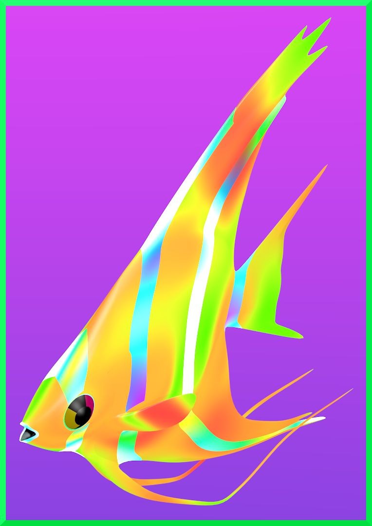 Angel Fish preview image 1
